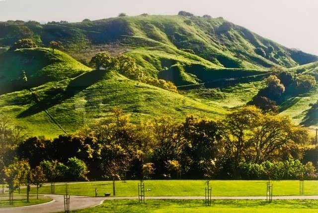 Gan Shalom Cemetery | 1100 Bear Creek Rd, Briones, CA 94553, USA | Phone: (925) 228-3636