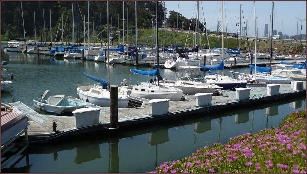 Golden Gate Sailing Tours | 1 Clipper Cove Way, San Francisco, CA 94130, USA | Phone: (510) 499-0134