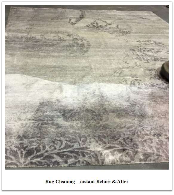 Brielles Rug Cleaning | 2303 Brigham St., 1st Floor, Brooklyn, NY 11229, USA | Phone: (800) 518-9648