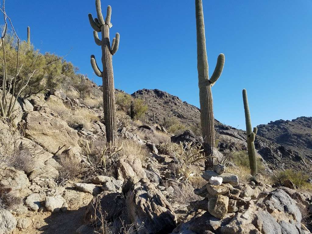 Quartz Peak trail | Laveen Village, AZ 85339, USA