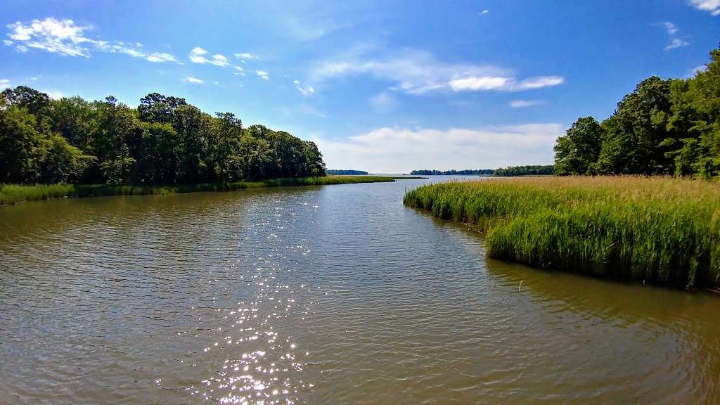 Dundee Natural Environment Area | Middle River, MD 21220