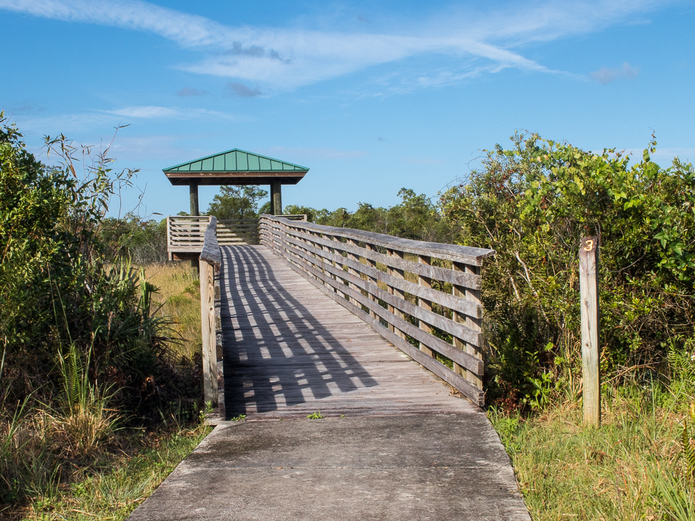 Sweetbay Natural Area | 12560 Aviation Rd, West Palm Beach, FL 33412, USA | Phone: (561) 233-2400