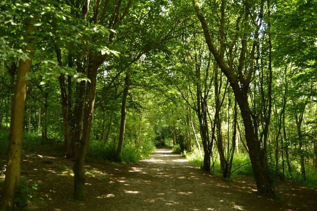 Trosley Country Park | Waterlow Rd, Vigo Village, Gravesend DA13 0SG, UK | Phone: 0300 042 0992