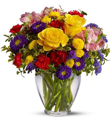 Blooms Today | 15405 John Marshall Hwy, Haymarket, VA 20169, USA | Phone: (800) 359-5309
