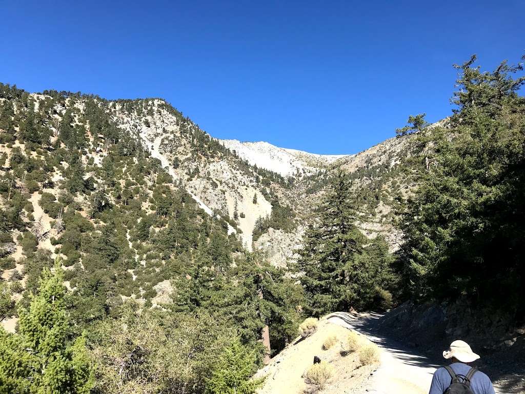 Mt Baldy Trailhead | 901-993 Falls Rd, Mt Baldy, CA 91759, USA