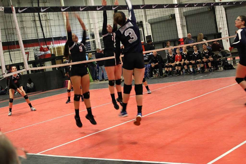 Manassas Volleyball Club | 11850 Livingston Rd #147, Manassas, VA 20109, USA | Phone: (703) 895-8284