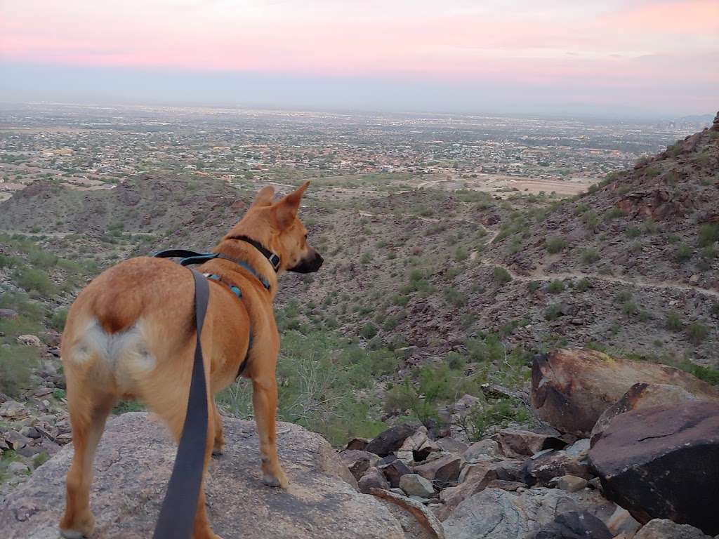 Holbert / Dobbins | Phoenix S Mountain Park, Phoenix, AZ 85042, USA