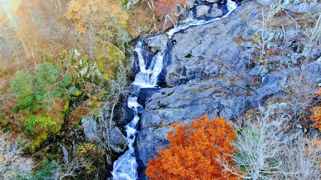 Cunningham Falls | Lower Trail - Red Blaze, Smithsburg, MD 21783, USA