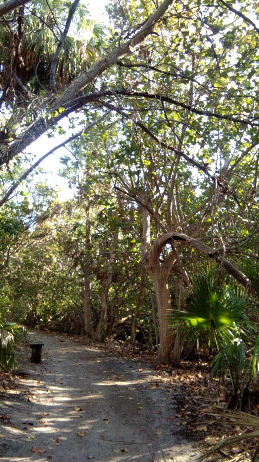 MacArthur Beach Nature Center | 10900 Jack Nicklaus Dr, North Palm Beach, FL 33408, USA | Phone: (561) 624-6952