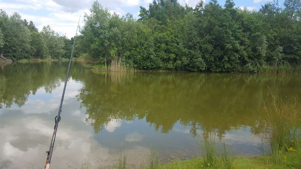 Birds Green Fishing Lakes | Birds Green, Ongar CM5 0FL, UK | Phone: 07847 753699