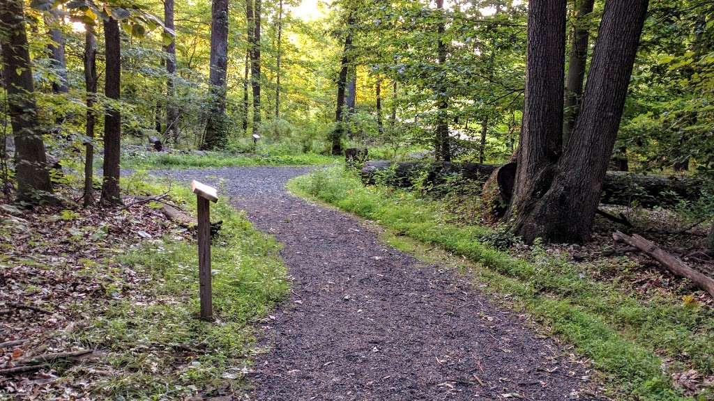 Cedar Hill Road Park | Ambler, PA 19002, USA