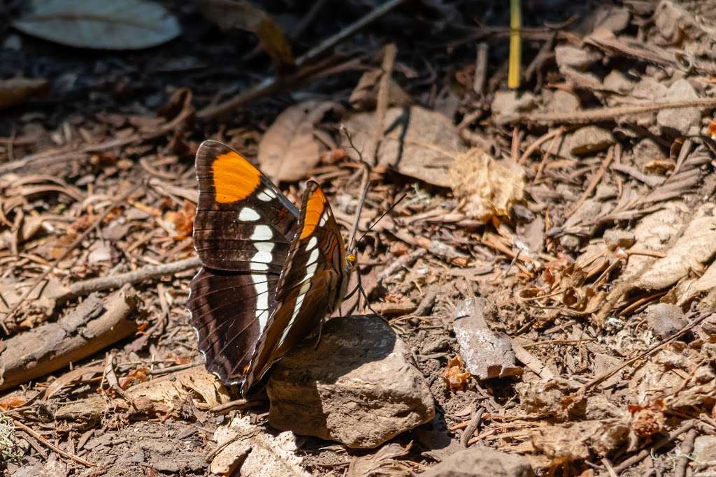 Palomarin Trailhead | Bolinas, CA 94924, USA | Phone: (415) 464-5137