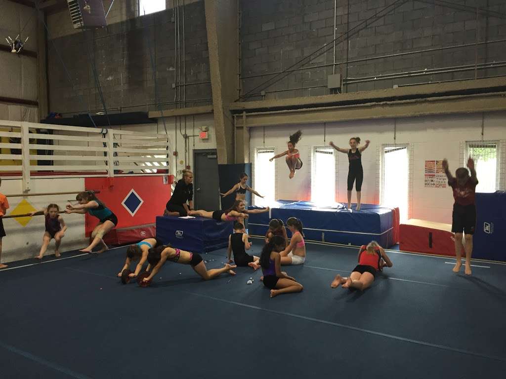 Rising Stars Gymnastics Academy | 700 Park Ave #300, Manalapan Township, NJ 07726 | Phone: (732) 792-7742