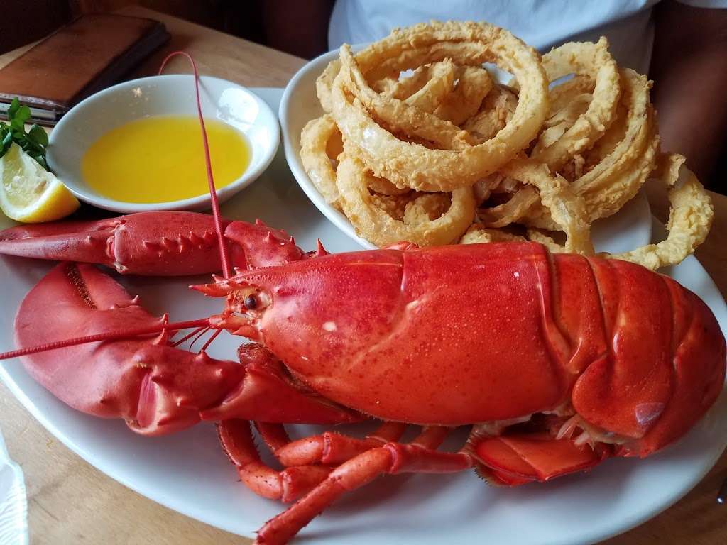 Lobsta Land | 84 Causeway St, Gloucester, MA 01930, USA | Phone: (978) 281-0415