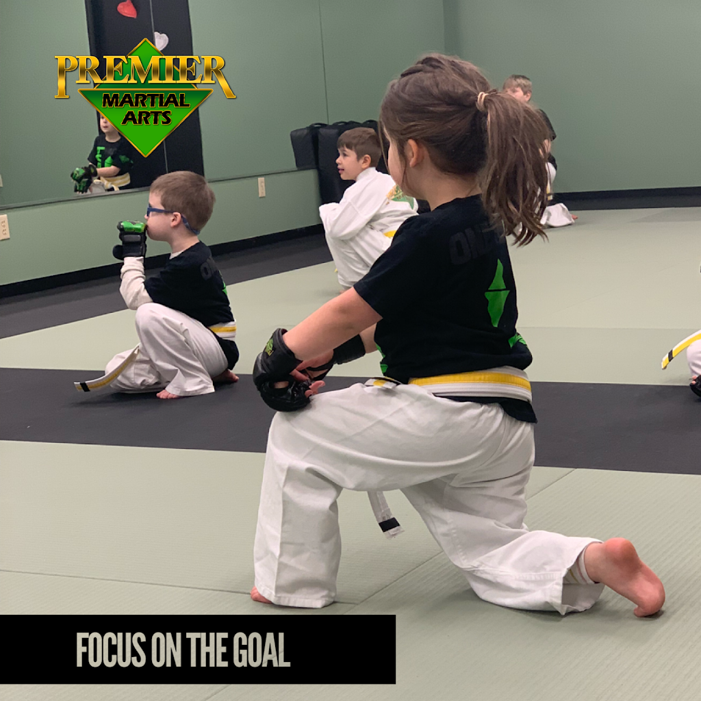 Premier Martial Arts Norton | 175 Mansfield Ave #19, Norton, MA 02766, USA | Phone: (781) 354-9830