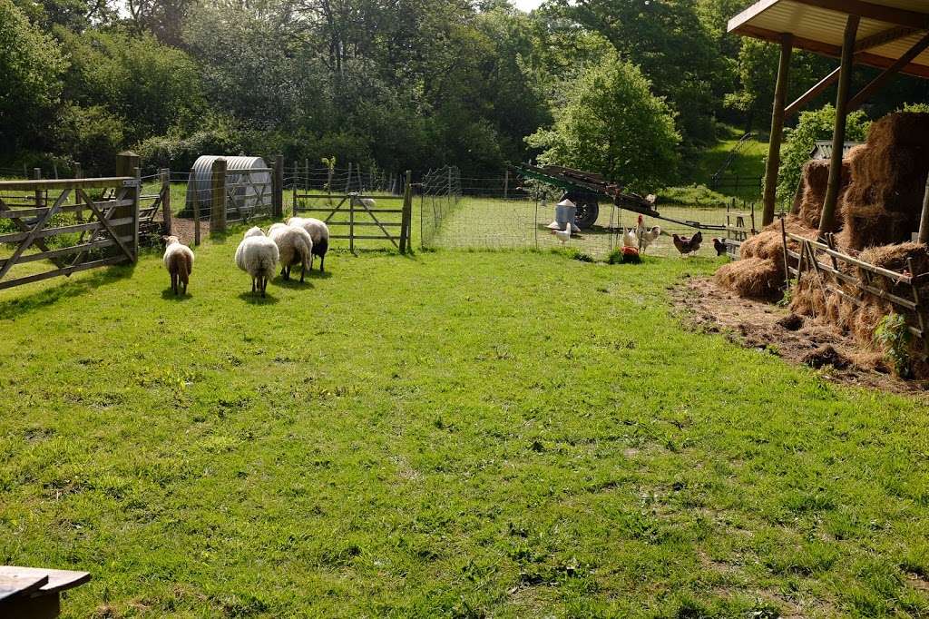 Trefoil Montessori Farm School | Ashwood Farm, W Hoathly Rd, East Grinstead RH19 4ND, UK | Phone: 01342 316129