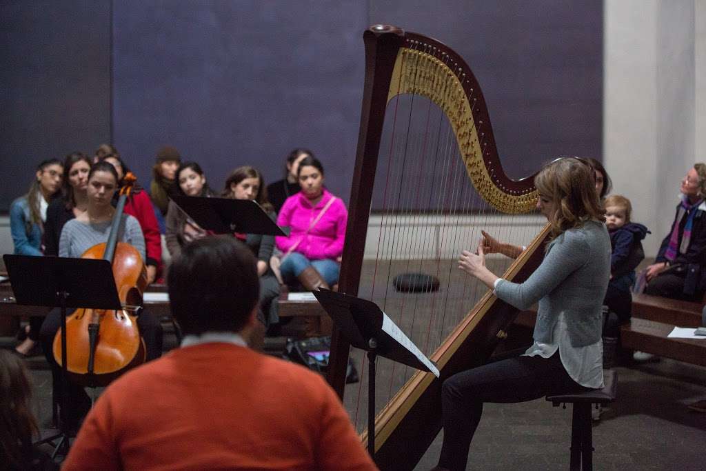 Stephanie Gustafson, Houston Harpist | 1135 Walling St, Houston, TX 77009, USA | Phone: (847) 254-0419