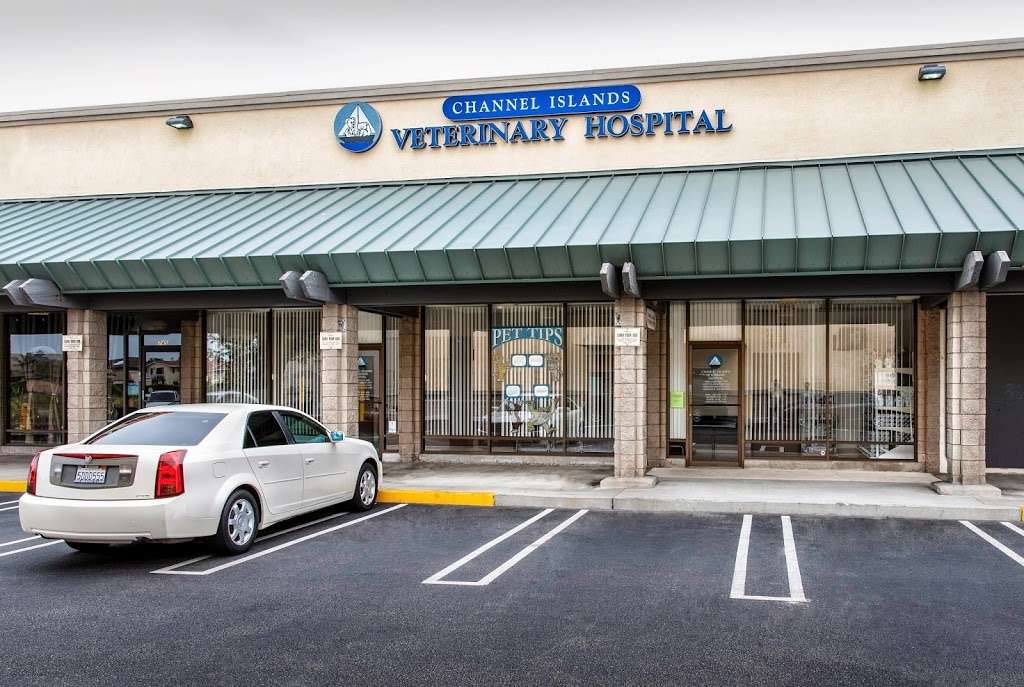 Channel Islands Veterinary Hospital | 741 W Channel Islands Blvd, Port Hueneme, CA 93041 | Phone: (805) 984-9868