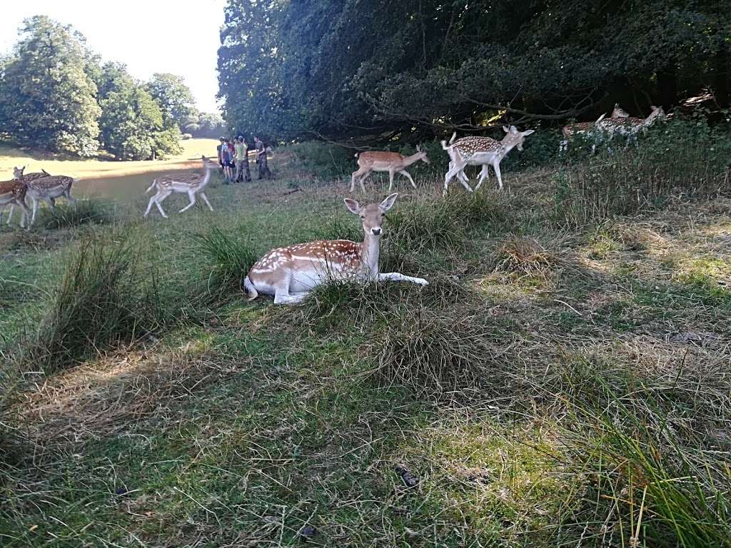 Knole Park | Sevenoaks TN15 0RP, UK