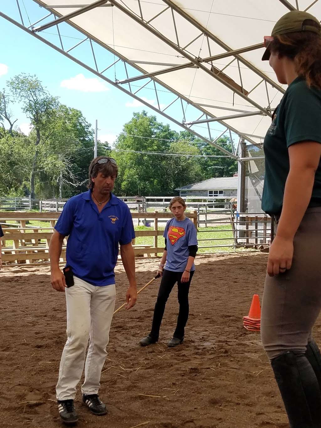 Greenlawn Equestrian Center | 29 Wood Ave, Greenlawn, NY 11740 | Phone: (631) 456-1700