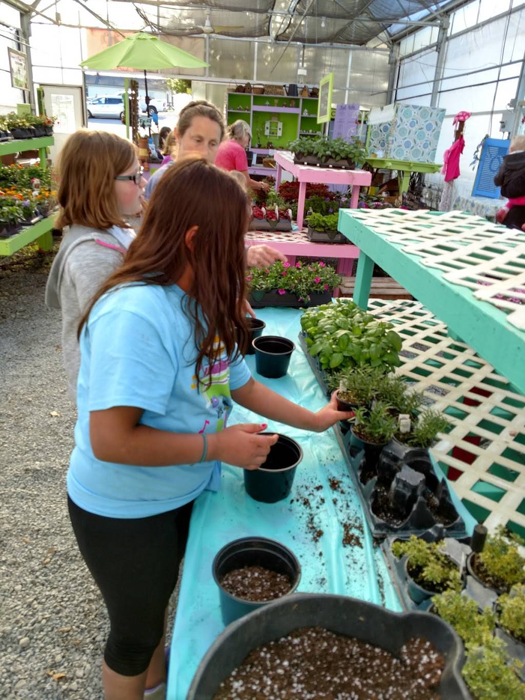 Adopt-A-Plant Greenhouses | 10856 Oxford Rd, Harrison, OH 45030, USA | Phone: (513) 738-0040