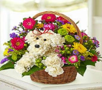 American Beauty Florists | 9800 Transit Rd, East Amherst, NY 14051, USA | Phone: (716) 689-6764