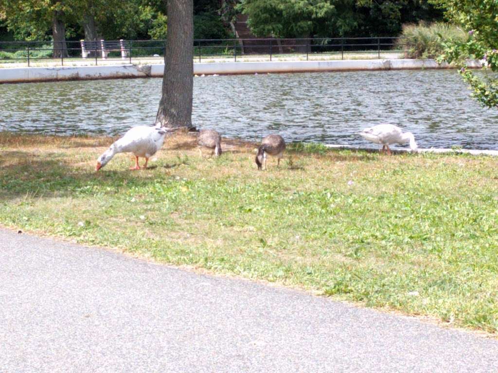 Kissena Park Kissena Blvd and Booth Memorial Ave Fresh Meadows NY