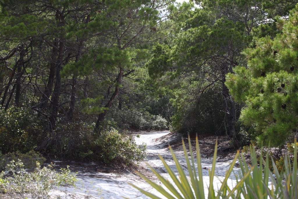 Jupiter Ridge Natural Area - -1, Juno Beach, FL 33408 - Hours ...