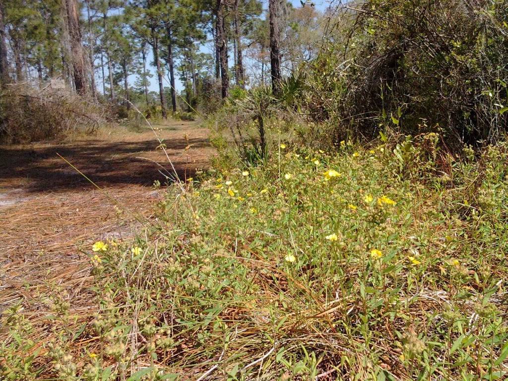 Camp Bayou Outdoor Learning Center | 4140 24th St SE, Ruskin, FL 33570, USA | Phone: (813) 641-8545