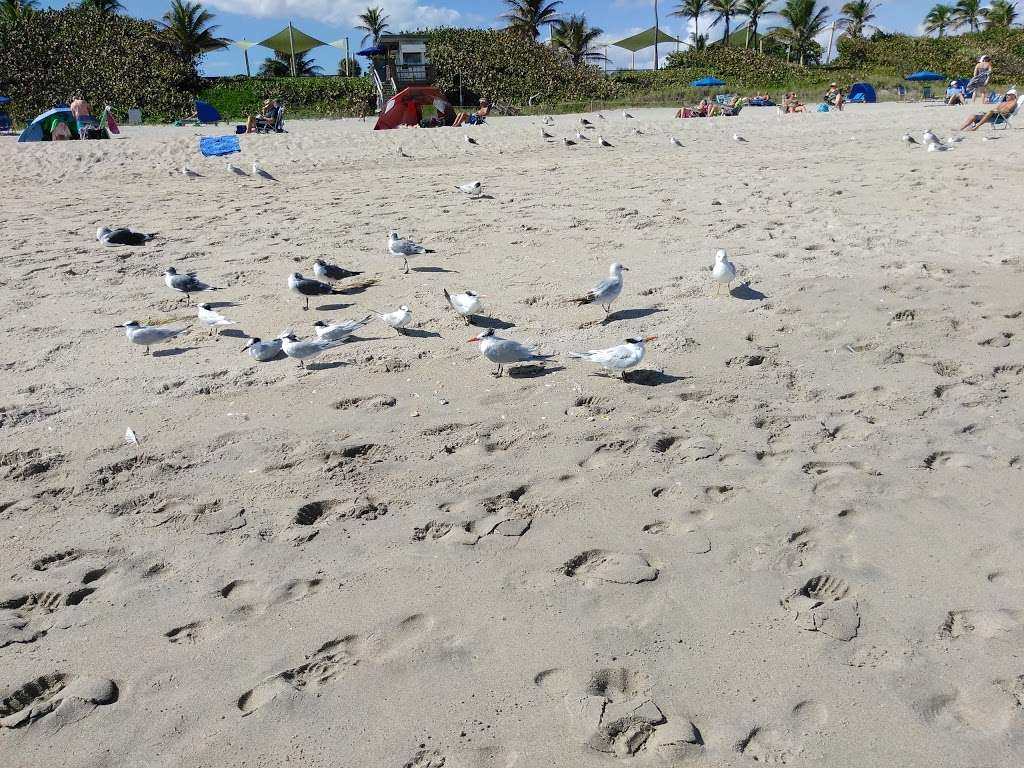 Ocean Ridge Hammock Park | 6620 N Ocean Blvd, Boynton Beach, FL 33435, USA