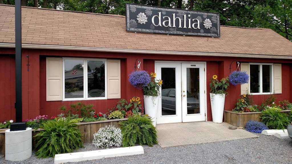 Dahlia Florals | 107 NJ-31, Pennington, NJ 08534, USA | Phone: (609) 737-0556