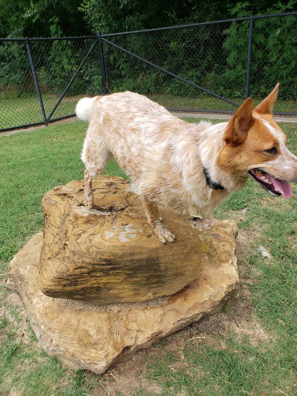 Euless Dog Park | 40621944, Euless, TX 76039