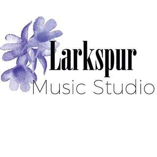 Larkspur Music Studio | 7605 Old Carolina Rd, Gainesville, VA 20155, USA | Phone: (703) 674-8060