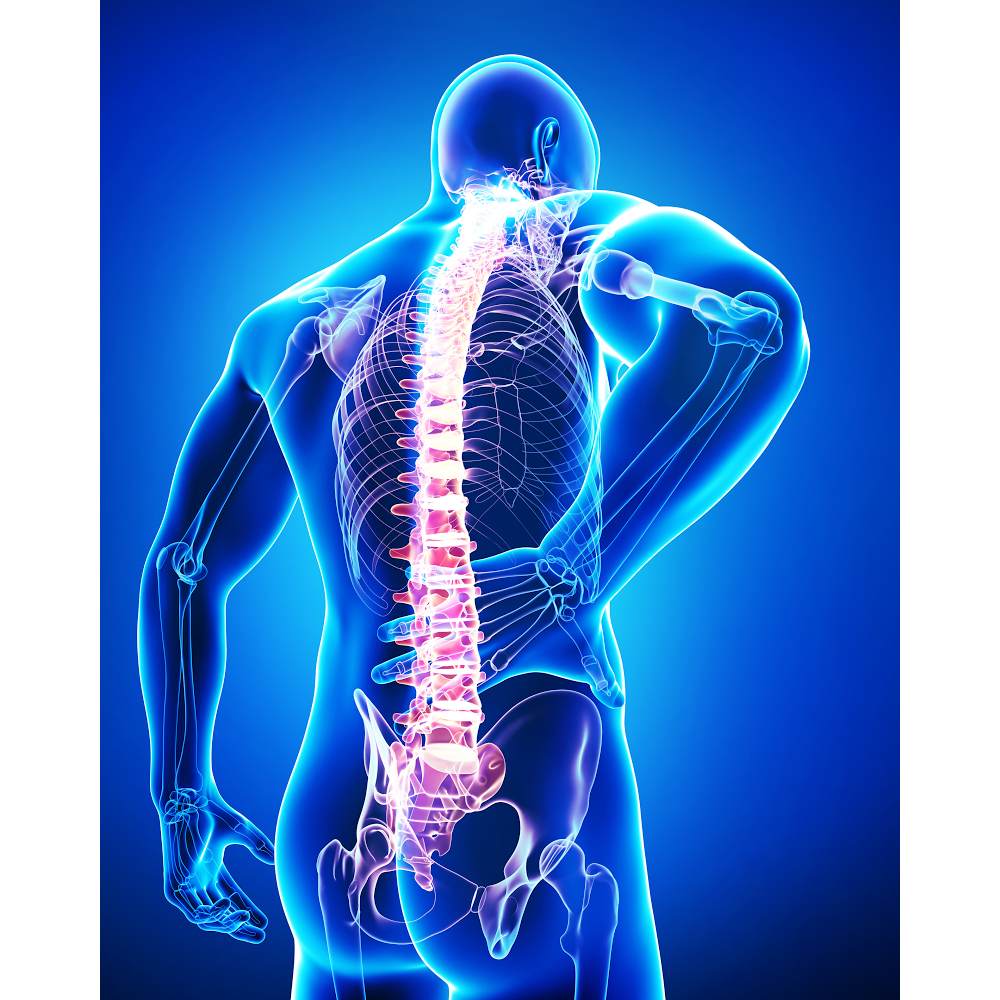 Lisa Spina Registered Osteopath | Lime Cl, Romford RM7 7BD, UK | Phone: 07517 711171