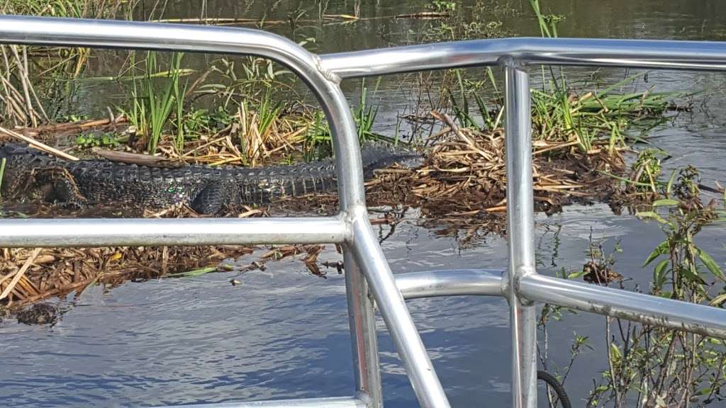 Lake Jesup Conservation Area | Sanford, FL 32773, USA