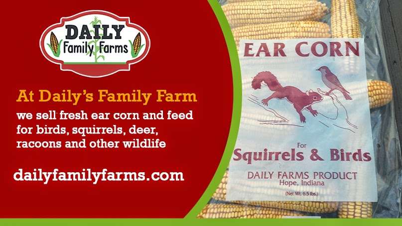 Daily Family Farms | 3727 N 1050 E, Hope, IN 47246, USA | Phone: (812) 371-5644