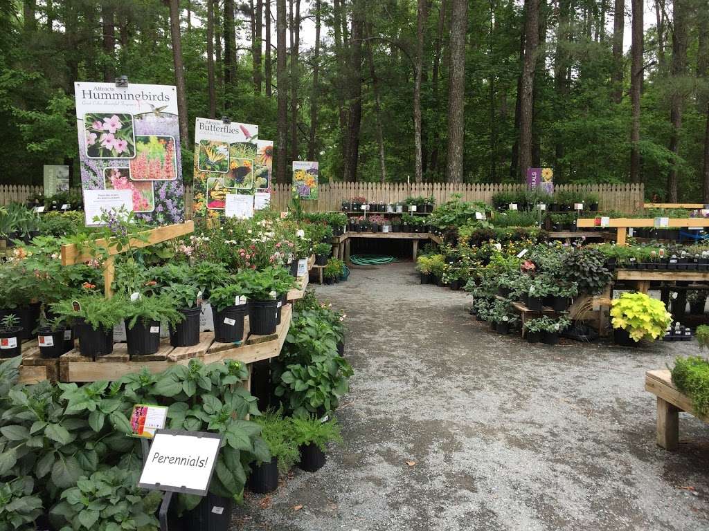 Kings Greenhouse | 524 Stallings Rd, Matthews, NC 28104, USA | Phone: (704) 821-7507