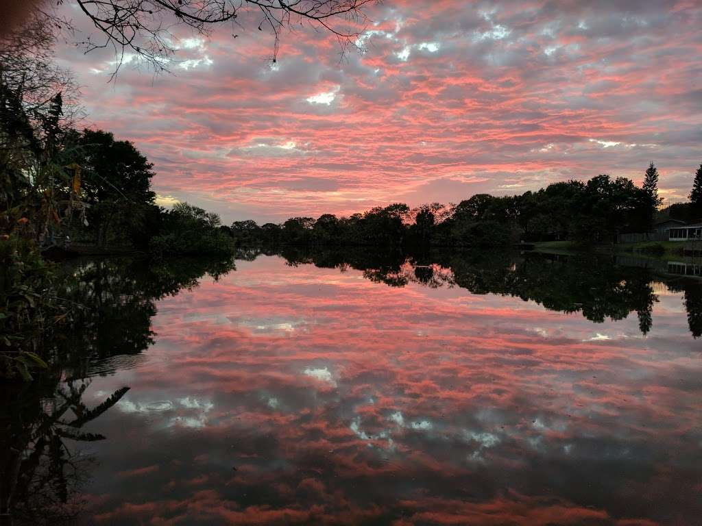 Lake Somerset Rookery and Bird Sanctuary | Lakeland, FL 33803, USA