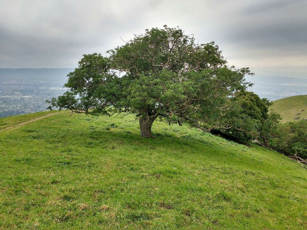 Boccardo Loop Trail | 5345 Sierra Rd, San Jose, CA 95132, USA | Phone: (408) 224-7476 Boccardo Loop Trail | 5345 Sierra Rd, San Jose, CA 95132, USA | Phone: (408) 224-7476
