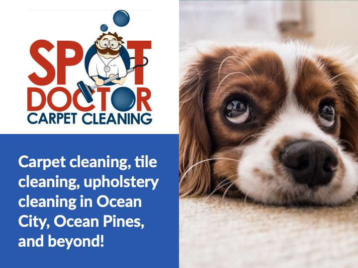 Spot Doctor Carpet Cleaning | 9401 Fooks Rd, Bishopville, MD 21813 | Phone: (443) 783-0605