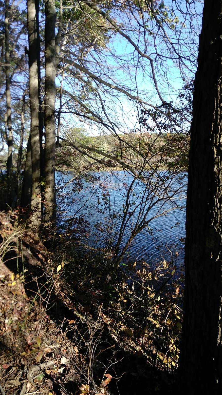 Duhernal Lake | Duhernal Lake, New Jersey 08857, Old Bridge, NJ 08857, USA