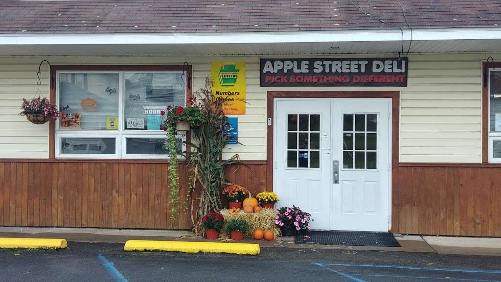 Apple Street Deli | 392 W Apple St, Ringtown, PA 17967, USA | Phone: (570) 889-2775
