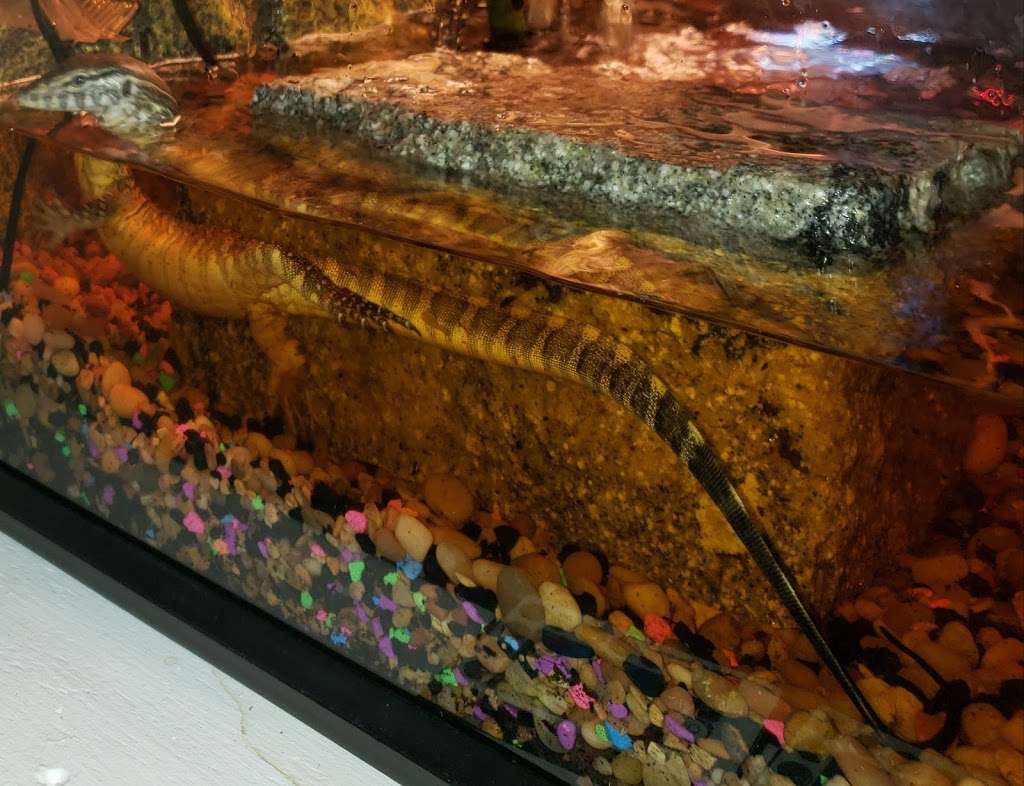 Garza Masonry Stone, Inc. | 8299 SW Northwest Loop 410, San Antonio, TX 78242, USA | Phone: (210) 623-5443