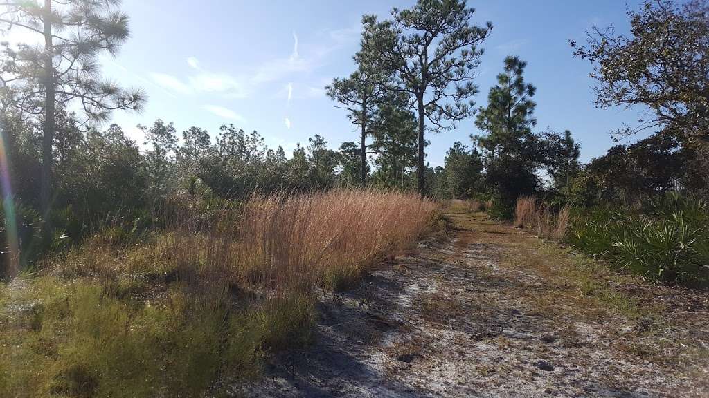 Wiregrass Prairie Preserve | 1751 Lopez Rd, Osteen, FL 32764