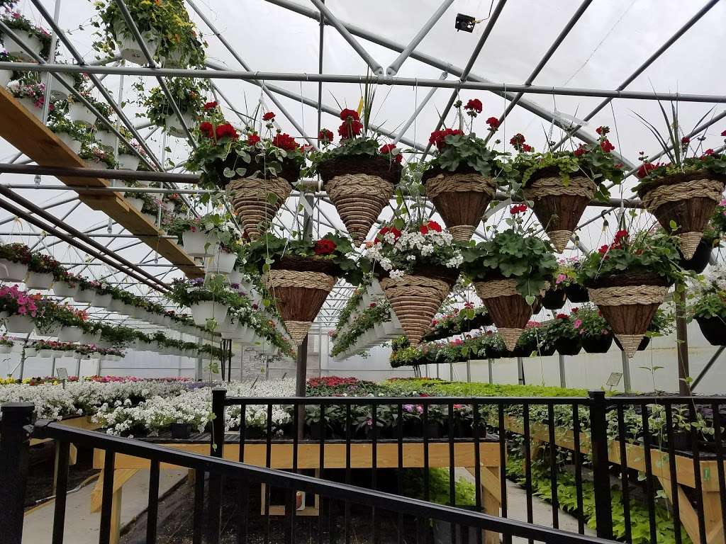 Cinder Road Greenhouse | 153 Cinder Rd, New Providence, PA 17560, USA | Phone: (717) 786-2394
