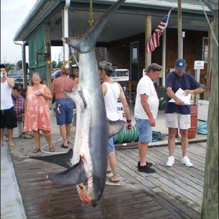 Anglers Fishing Center | 213 Anglers Rd, Lewes, DE 19958, USA | Phone: (302) 644-4533