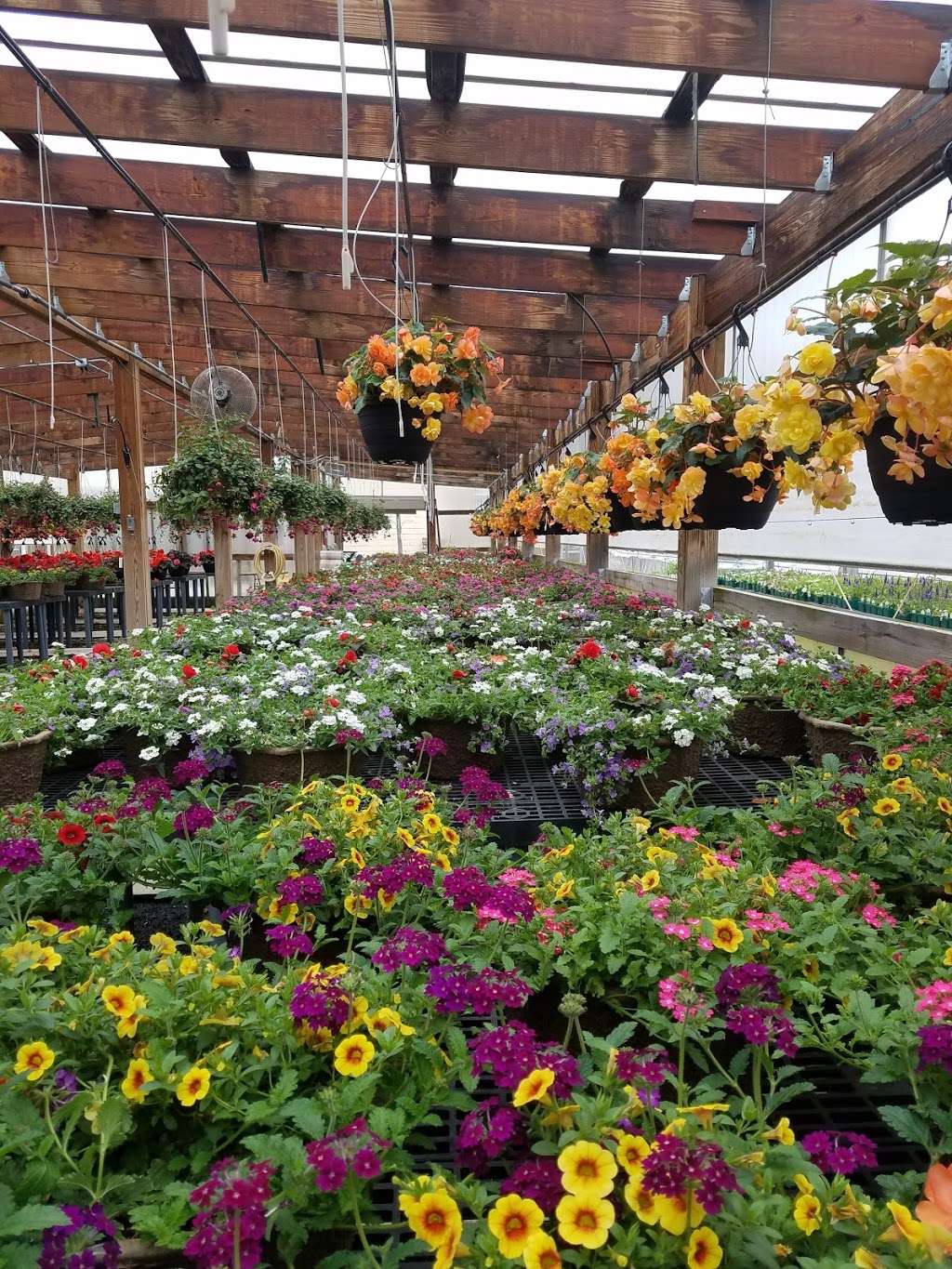 Tehan Greenhouses, Inc. | 1515 E Rawson Ave, Oak Creek, WI 53154, USA | Phone: (414) 762-9151