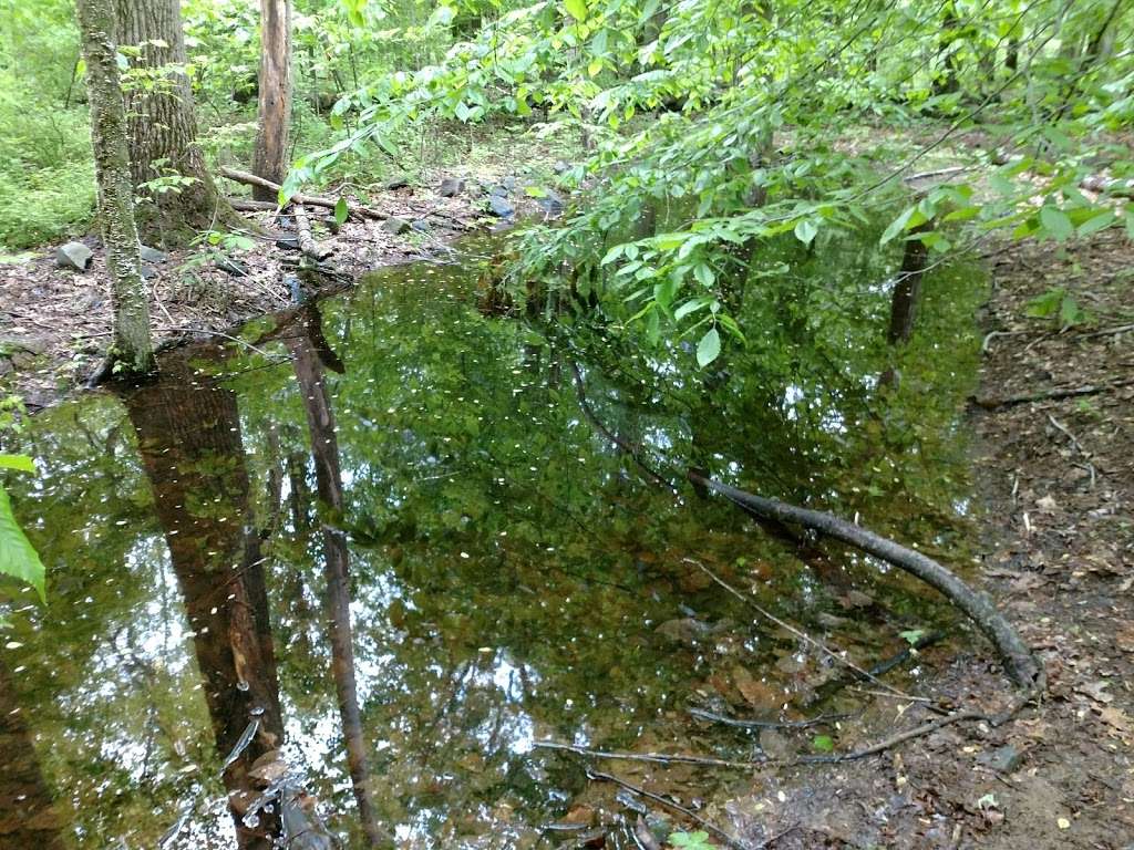 Sourland Ecosystem Preserve | 31-37 Mountain Rd, Hopewell, NJ 08525, USA