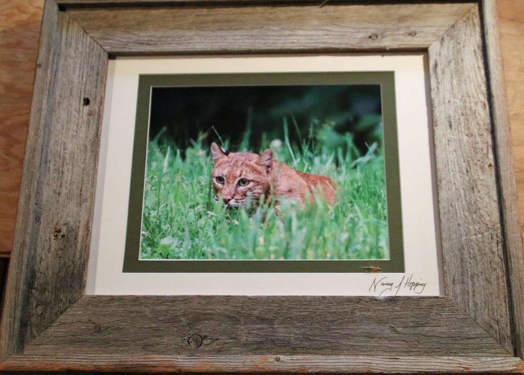 Nancys Photos and Flyfishing | 139 Carol Lee Rd, Greentown, PA 18426, USA | Phone: (570) 676-9465
