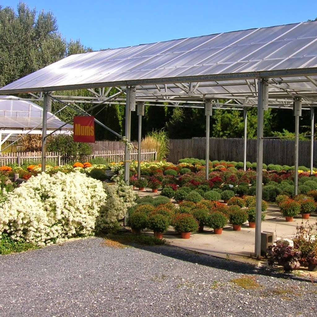 Michelles Greenhouses | 201 Plymouth St, Middleborough, MA 02346, USA | Phone: (508) 923-0409